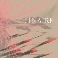 #6 - Linaire - Linaire Linaire - Linaire