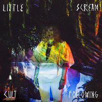 #2 - Little Scream - Cult Following Little Scream - Cult Following