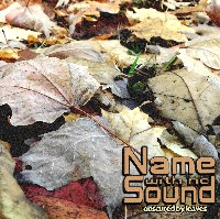 #4 - Name With No Sound - Obscured By Leaves Name With No Sound - Obscured By Leaves