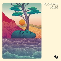 #4 - Polypores - Azure Polypores - Azure