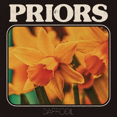 PRIORS - Daffodil
