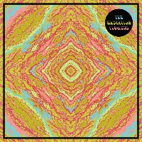 #2 - The Radiation Flowers - The Radiation Flowers The Radiation Flowers - The Radiation Flowers