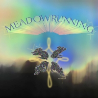 #3 - redress - meadowrunning redress - meadowrunning