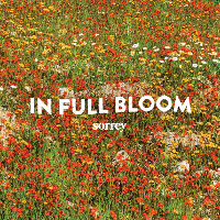 #5 - Sorrey - In Full Bloom Sorrey - In Full Bloom