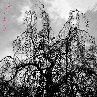 #6 - Colin Stetson And Sarah Neufeld - Never Were The Way She Was Colin Stetson And Sarah Neufeld - Never Were The Way She Was