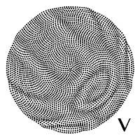 #7 - Swim Team - V Swim Team - V