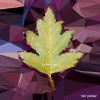 #3 - Teri Parker - In The Past Teri Parker - In The Past
