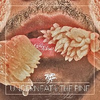 #8 - Toro Y Moi - Underneath The Pine Toro Y Moi - Underneath The Pine