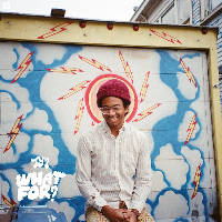 #4 - Toro Y Moi - What For? Toro Y Moi - What For?