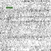 #6 - Ty Segall - Ty Rex Ty Segall - Ty Rex