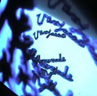 #11 - Uaxyacac - Homemade Myth Uaxyacac - Homemade Myth