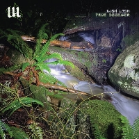 Wish Lash - True Deceiver
