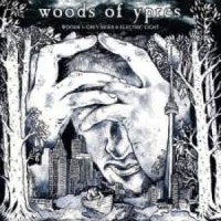 The Woods Of Ypres - Woods 5: Grey Skies & Electric Lights